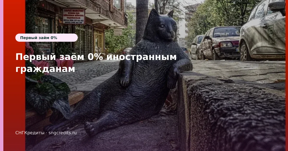 Оформление для грузинским гражданам: по паспорту, на карту, зачисление на карту
