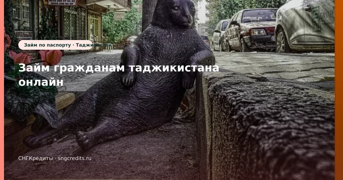 Микрозайм гражданам Таджикистана: по паспорту и на карту в 2026 году (Таджикистан)