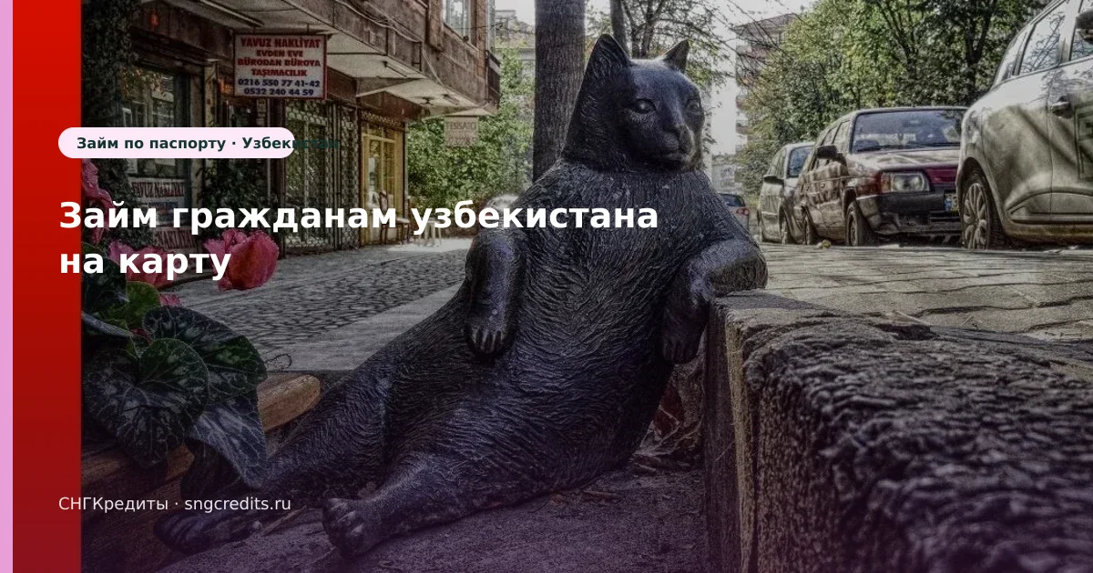 Гражданам Узбекистана: на карту по паспорту — оформление без лишних отказов