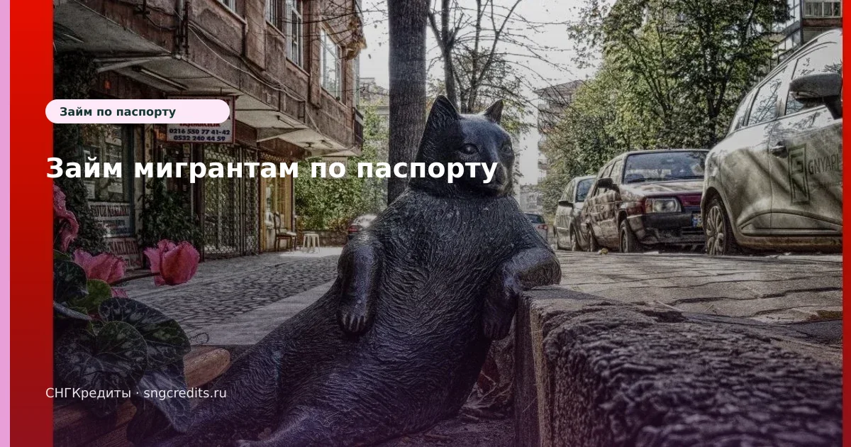 Гражданам Беларуси: на карту по паспорту — оформление без лишних отказов