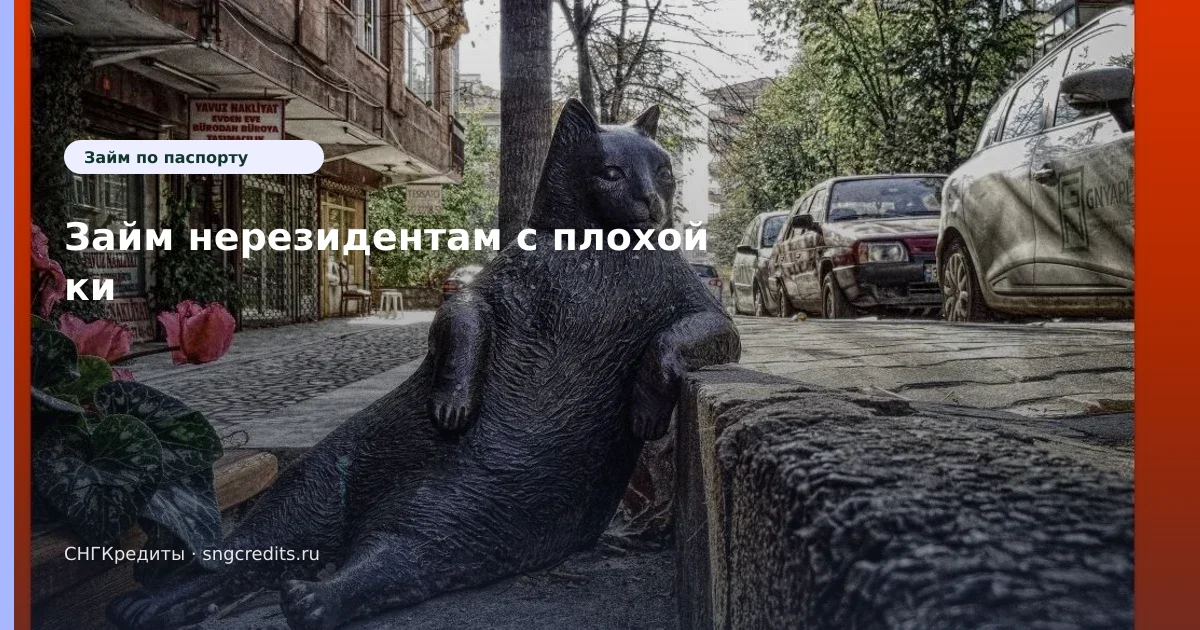 Оформление для кыргызским гражданам: по паспорту, на карту, зачисление на карту