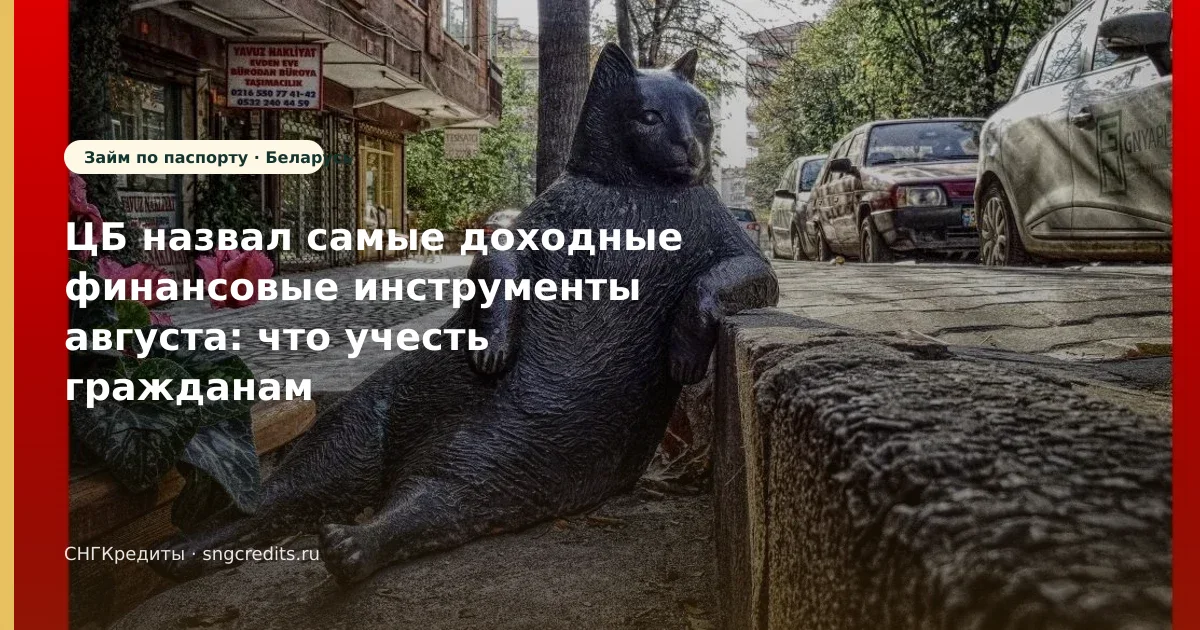 Заявка гражданам Беларуси по паспорту: на карту и типовые причины отказа