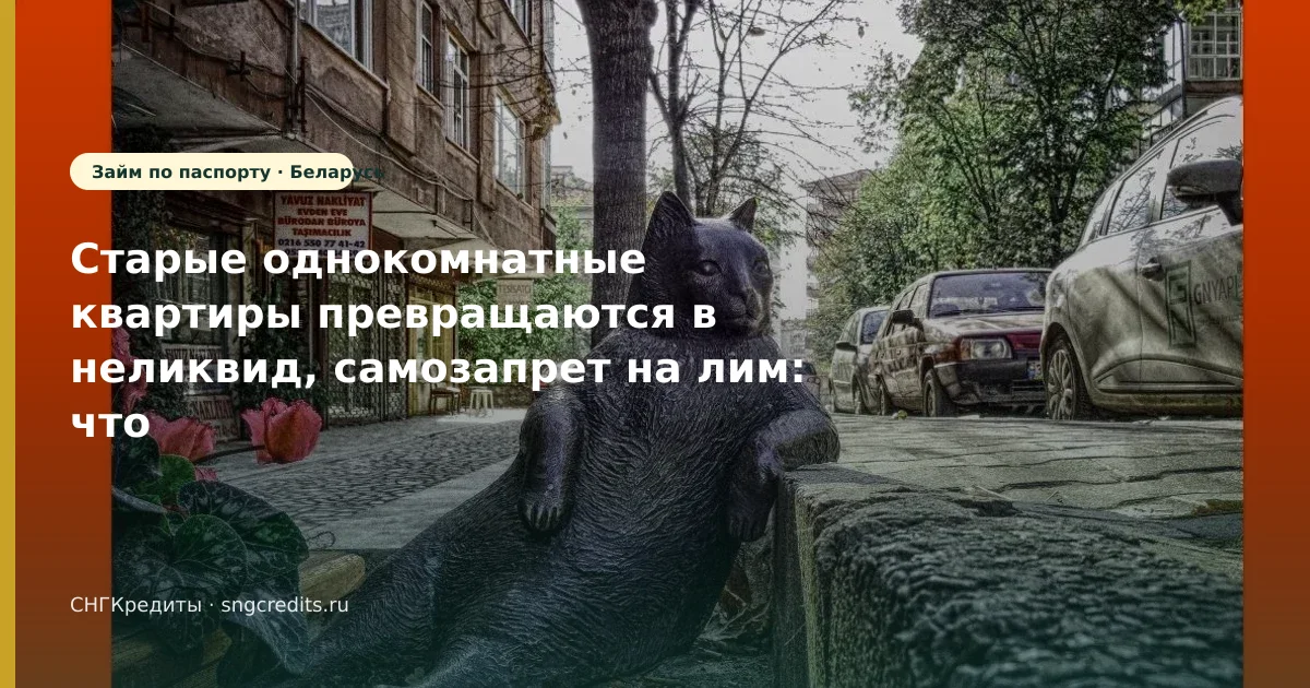 Старые однокомнатные квартиры превращаются в неликвид, самозапрет на лим: что учесть гражданам Беларуси
