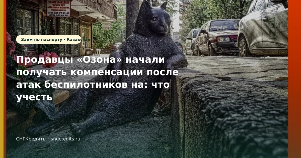 Продавцы «Озона» начали получать компенсации после атак беспилотников на: что учесть гражданам Казахстана