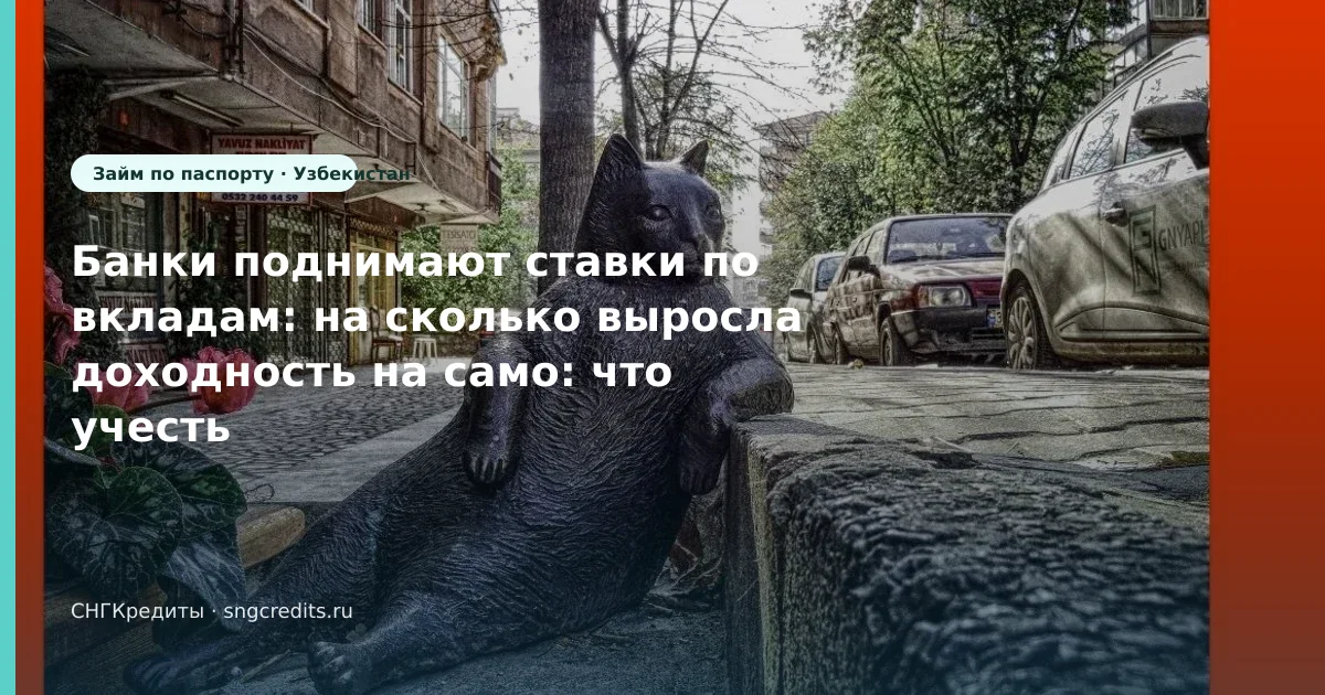 Условия: сценарий на карту по паспорту для выходцев из Узбекистана