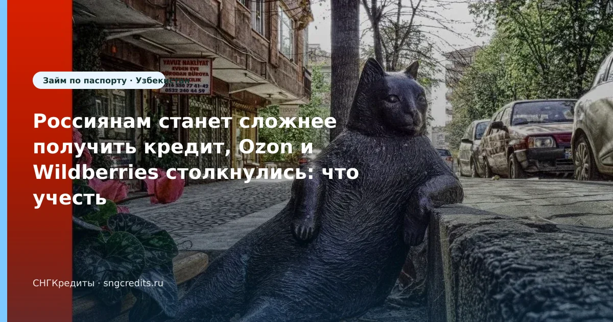 Россиянам станет сложнее получить кредит, Ozon и Wildberries столкнулись: что учесть гражданам Узбекистана