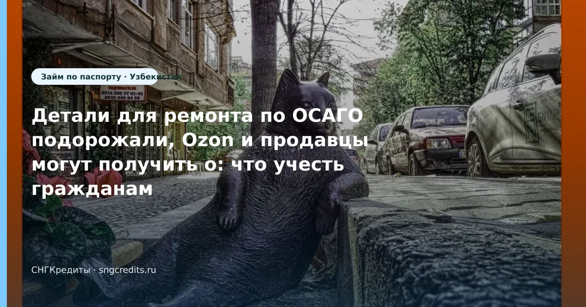 Детали для ремонта по ОСАГО подорожали, Ozon и продавцы могут получить о: что учесть гражданам Узбекистана