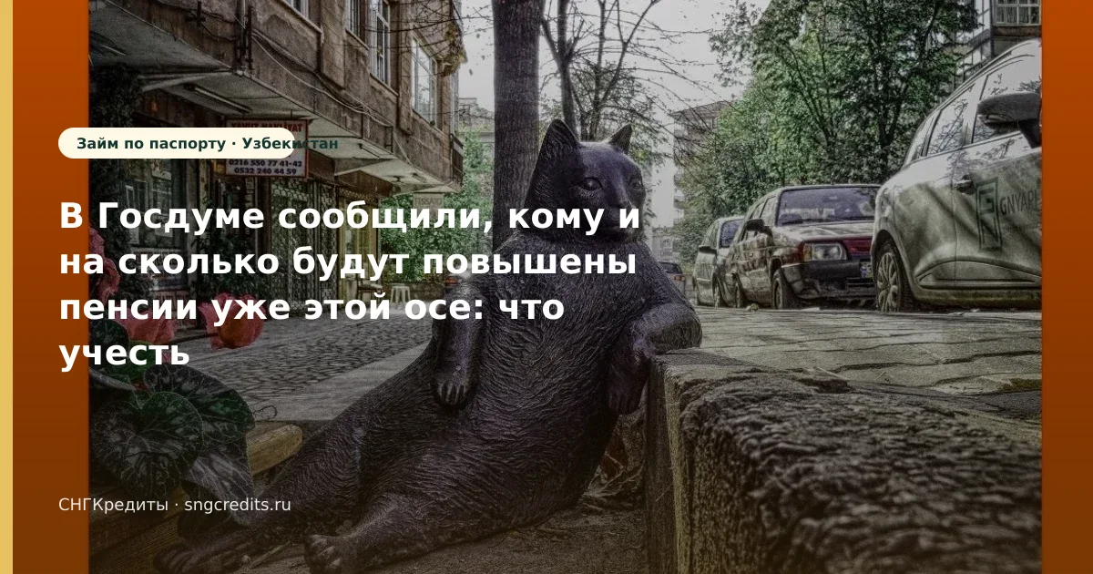 В Госдуме сообщили, кому и на сколько будут повышены пенсии уже этой осе: что учесть гражданам Узбекистана