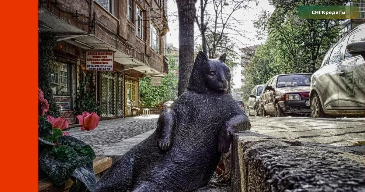 Россиянам станет сложнее получить кредит, Ozon и Wildberries столкнулись: что учесть гражданам Узбекистана: документы и заявка на займ