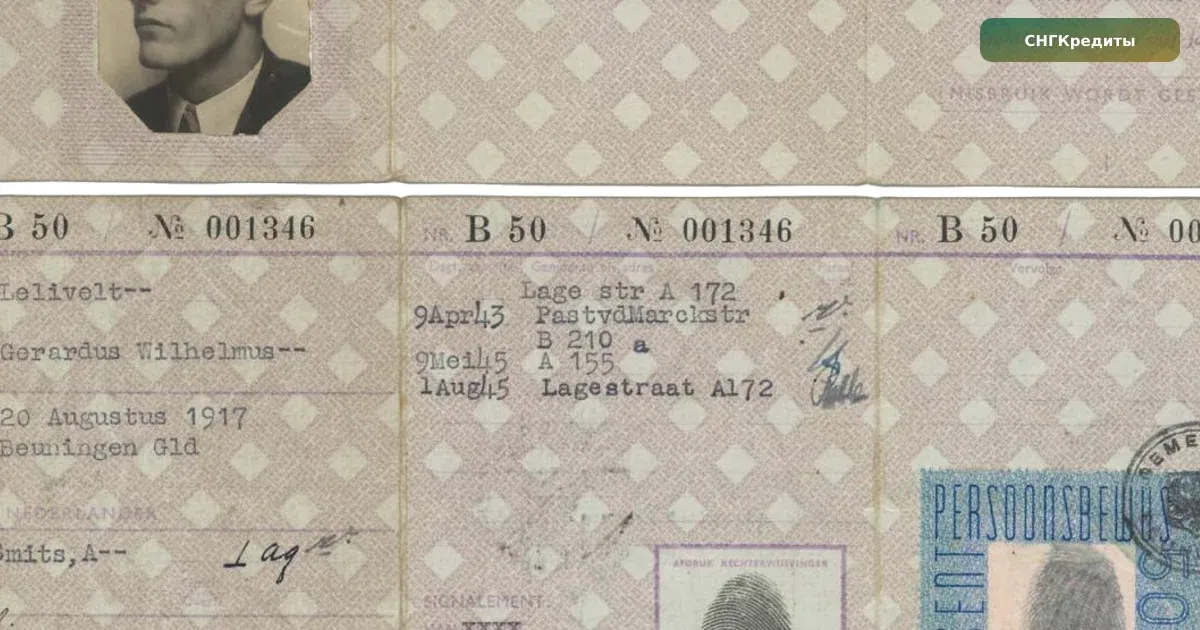 Займ гражданам Азербайджана в России: на карту, по паспорту — первый заём без переплаты: документы и заявка на займ
