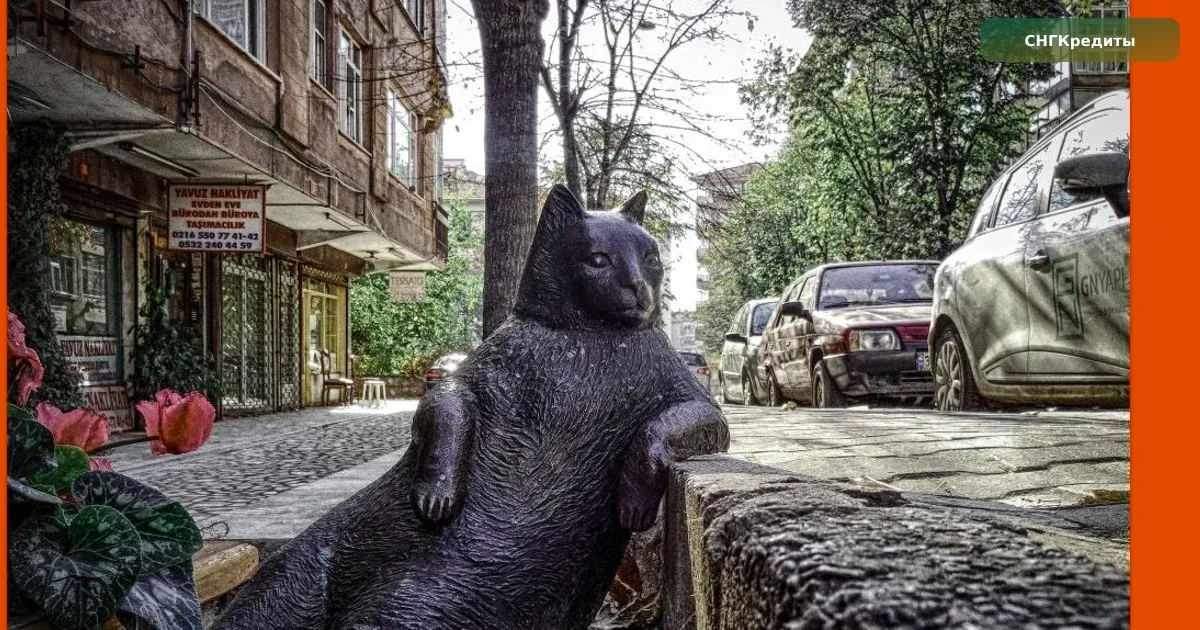 Займ гражданам Грузии в России: на карту, по патенту — какие документы нужны: поиск займа на карту онлайн