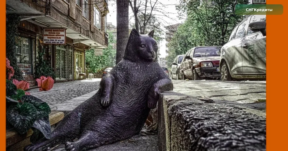 Займ гражданам Кыргызстана в России: на карту, без гражданства РФ — как сравнить предложения МФО: документы и заявка на займ