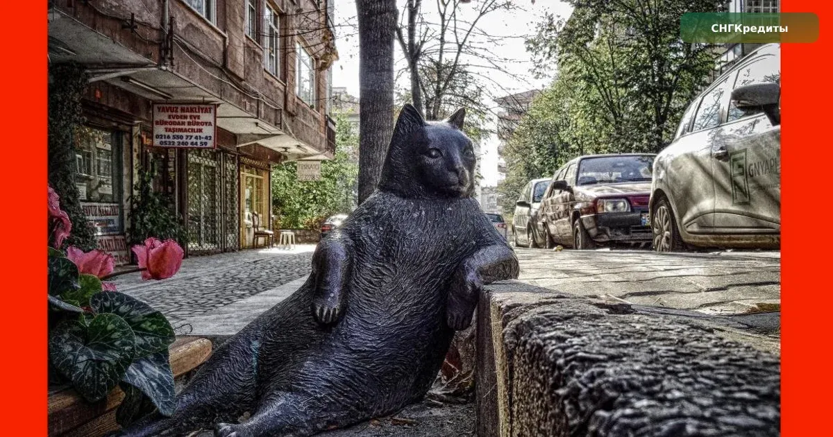 Заявка гражданам Беларуси с миграционной картой: после отказа и типовые причины отказа: новая заявка в другую МФО