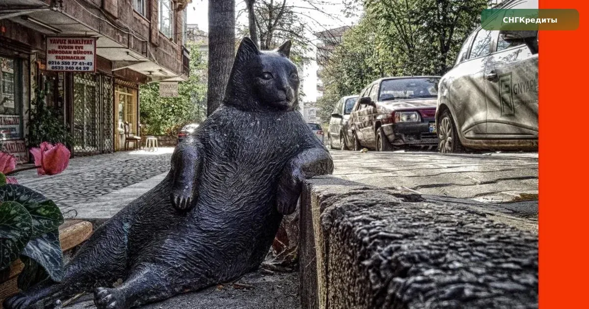 Гражданам Казахстана: первый контакт с МФО — с миграционной картой и первый заём 0%: новая заявка в другую МФО