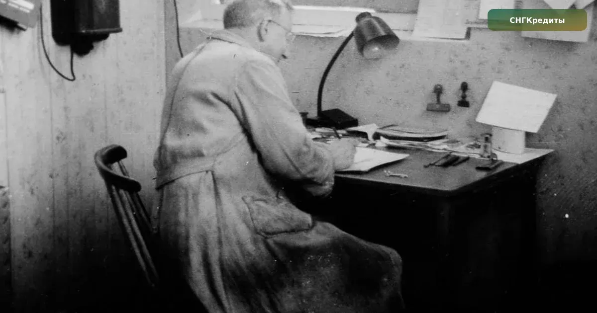 Займ гражданам Узбекистана в России: как сравнить предложения МФО: документы и заявка на займ