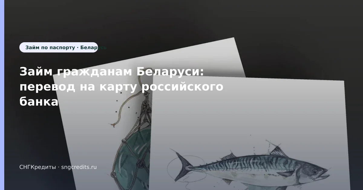 Займ гражданам Беларуси: перевод на карту российского банка