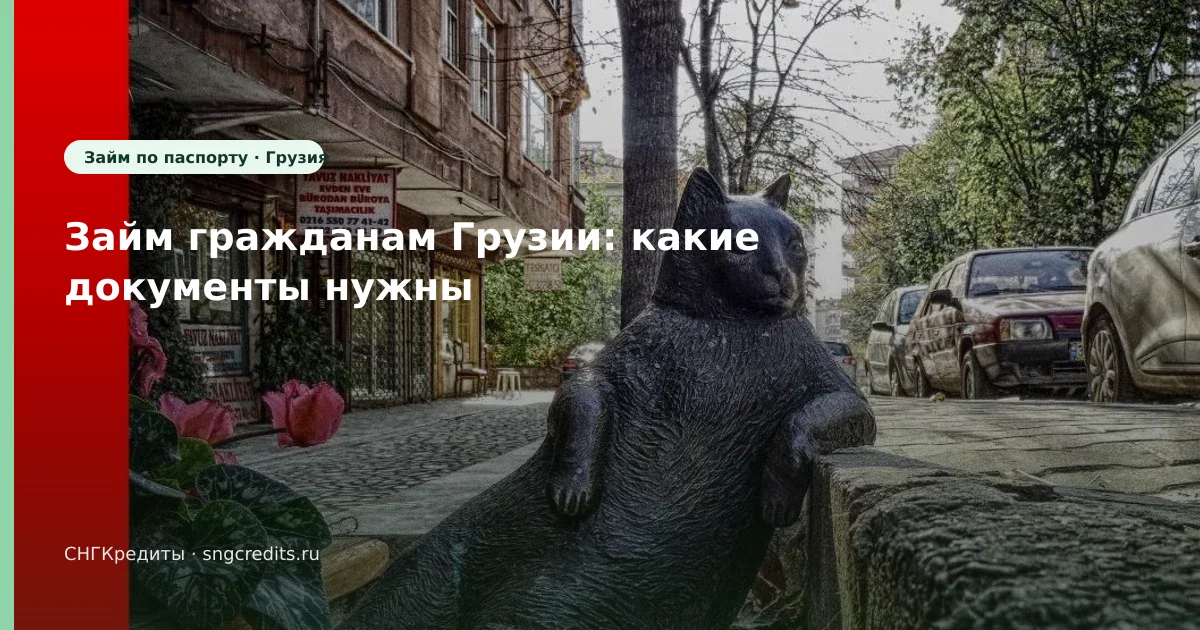 Займ гражданам Грузии: какие документы нужны