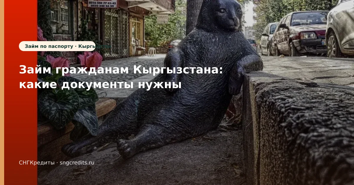 Займ гражданам Кыргызстана: какие документы нужны