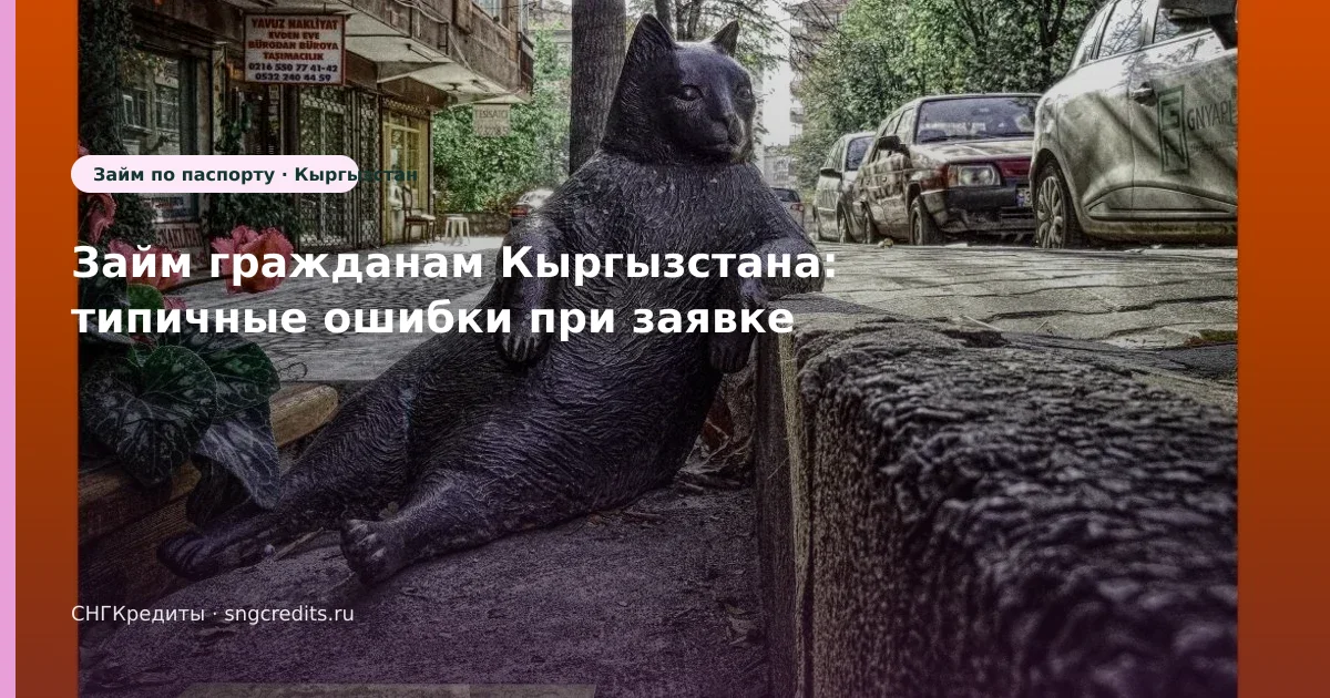 Займ гражданам Кыргызстана: типичные ошибки при заявке