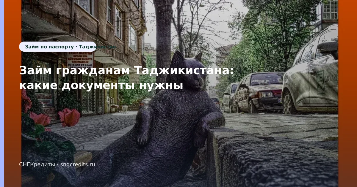 Займ гражданам Таджикистана: какие документы нужны