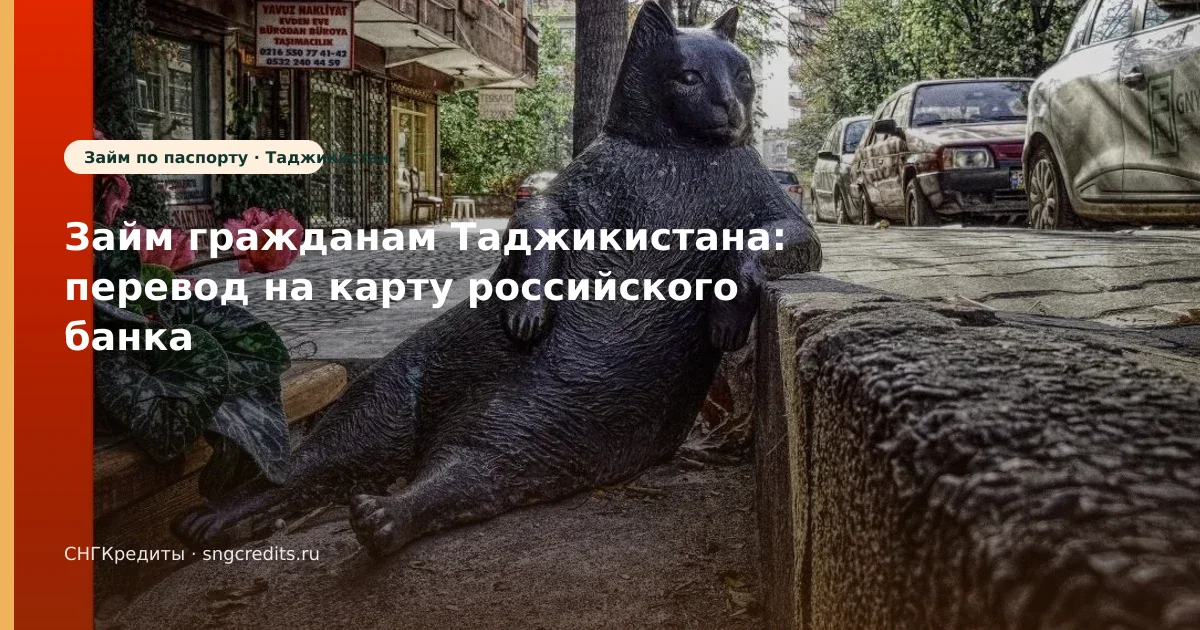 Займ гражданам Таджикистана: перевод на карту российского банка