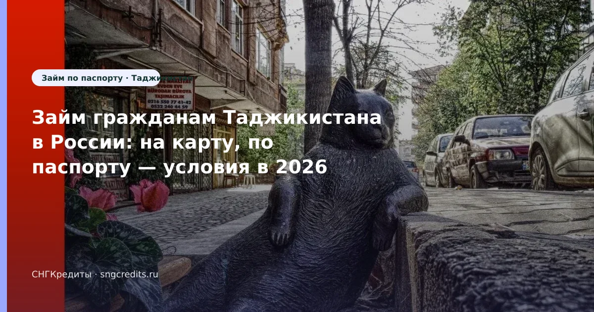 Займ гражданам Таджикистана в России: на карту, по паспорту — условия в 2026