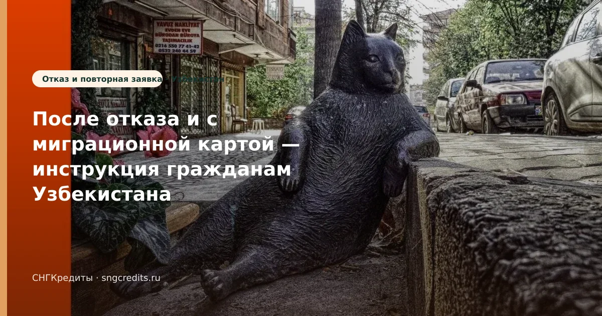 Узбекистан → займ с миграционной картой: ошибки и перевод на карту РФ