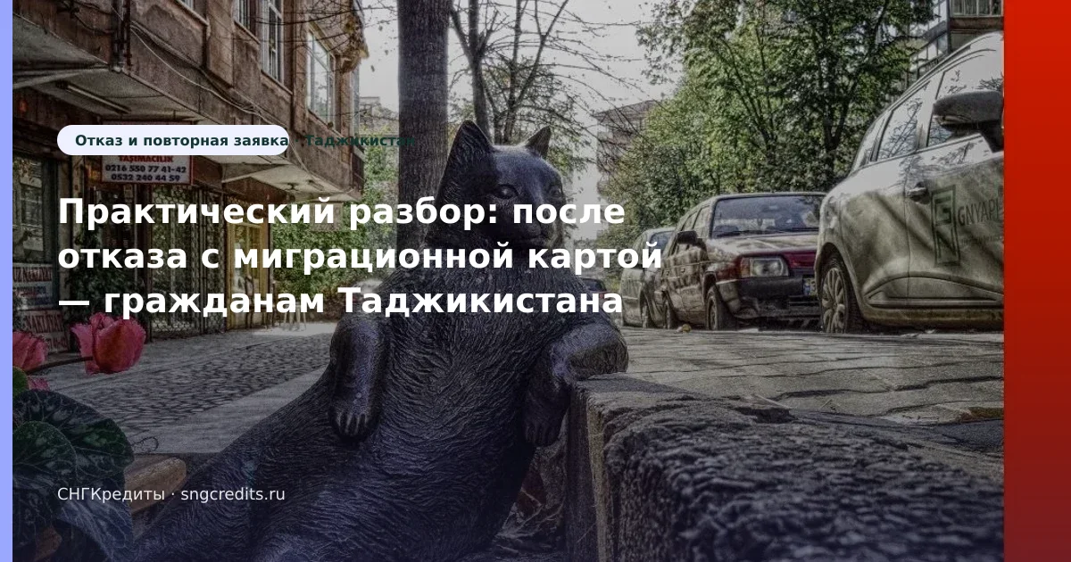 После отказа и с миграционной картой — инструкция гражданам Таджикистана без гражданства РФ