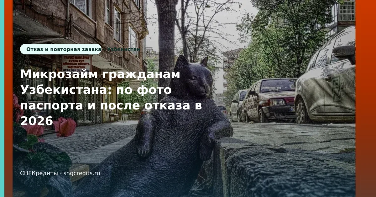 Быстрый разбор гражданам Узбекистана — после отказа, по фото паспорта, без подписок-агрегаторов