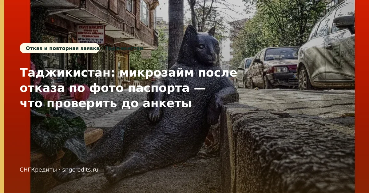 Гражданам Таджикистана в РФ — после отказа по фото паспорта: сумма, срок, карта банка