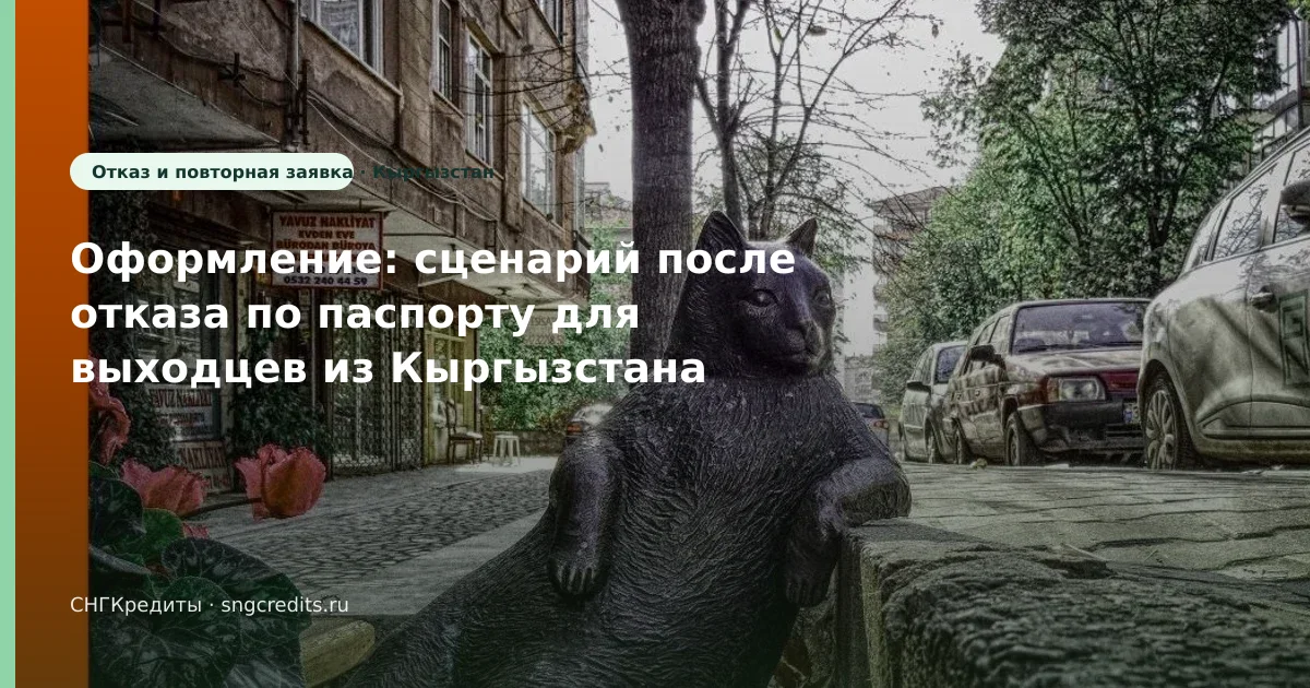 Оформление: сценарий после отказа по паспорту для выходцев из Кыргызстана