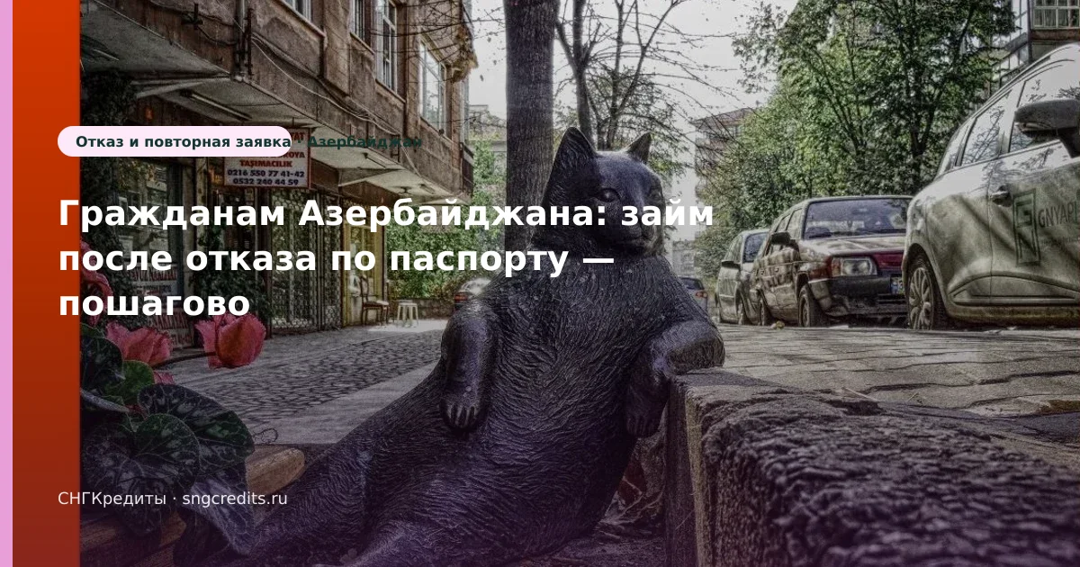 Быстрый разбор гражданам Азербайджана — после отказа, по паспорту, без подписок-агрегаторов
