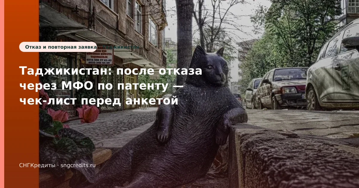 Заявка гражданам Таджикистана по патенту: после отказа и типовые причины отказа