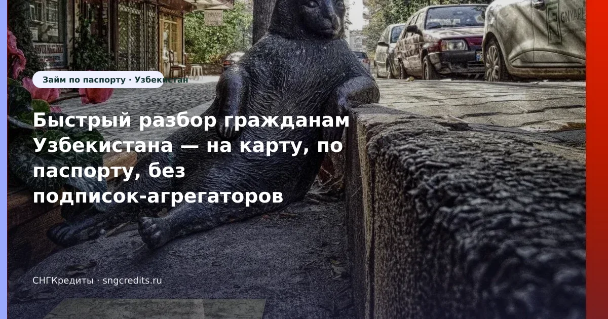 Быстрый разбор гражданам Узбекистана — на карту, по паспорту, без подписок-агрегаторов