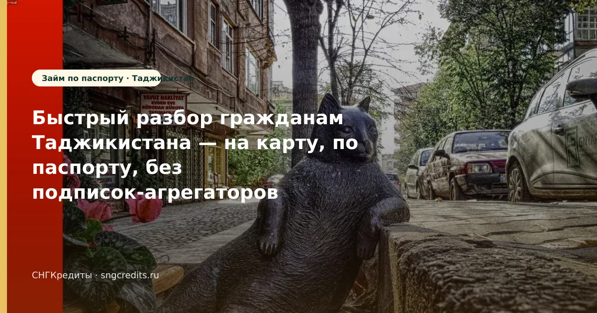 Быстрый разбор гражданам Таджикистана — на карту, по паспорту, без подписок-агрегаторов