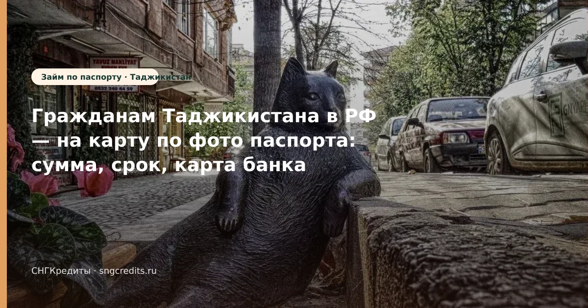 Гражданам Таджикистана в РФ — на карту по фото паспорта: сумма, срок, карта банка