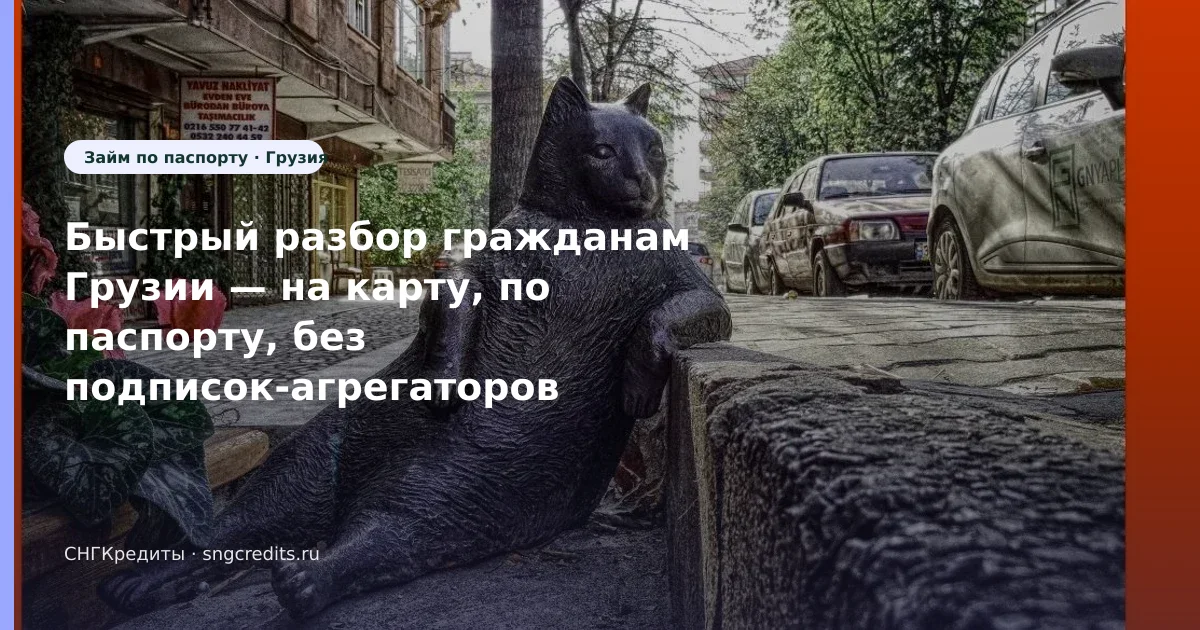 Заявка гражданам Грузии по паспорту: на карту и типовые причины отказа (Грузия)