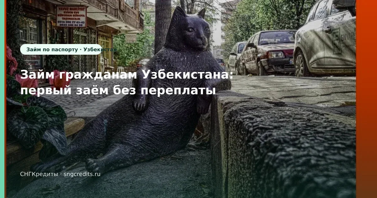 Займ гражданам Узбекистана: первый заём без переплаты