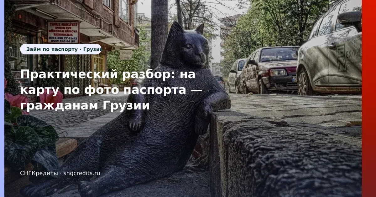 Условия: сценарий на карту по фото паспорта для выходцев из Грузии