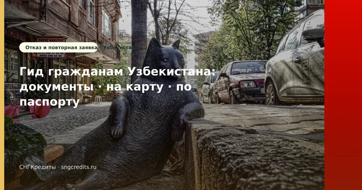Микрозайм гражданам Узбекистана: по паспорту и на карту в 2026 году (Узбекистан)