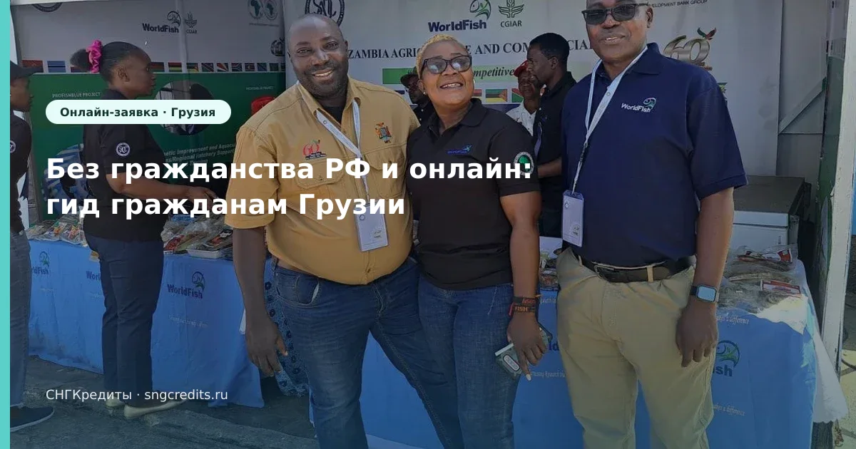 Сравнение МФО гражданам Грузии: онлайн, без гражданства РФ, риски отказа