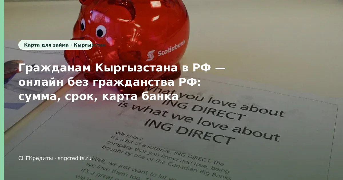 Онлайн и без гражданства РФ — инструкция гражданам Кыргызстана без гражданства РФ