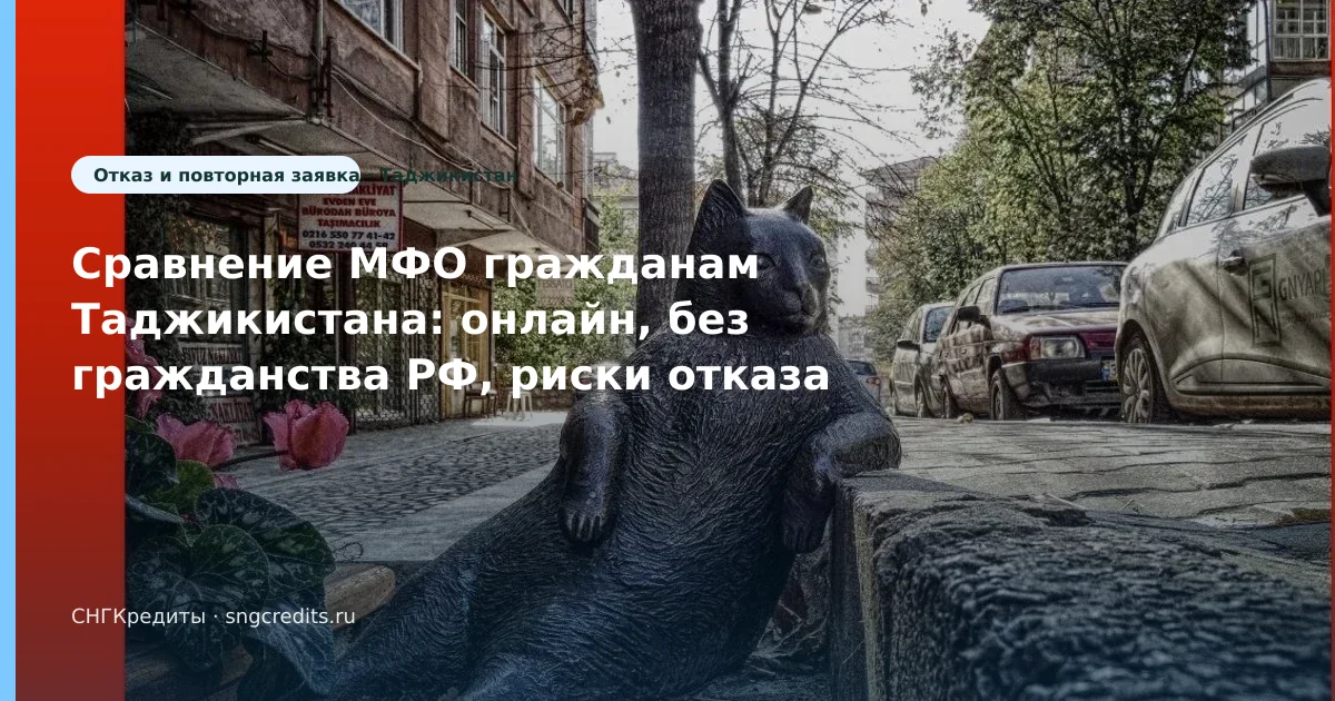 Таджикистан: микрозайм онлайн без гражданства РФ — что проверить до анкеты