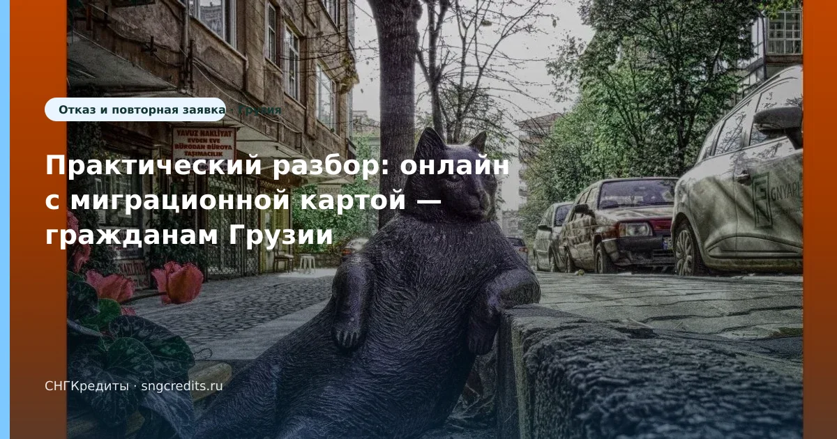 Грузия: микрозайм онлайн с миграционной картой — что проверить до анкеты