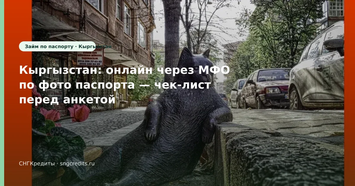 Заявка гражданам Кыргызстана по фото паспорта: онлайн и типовые причины отказа