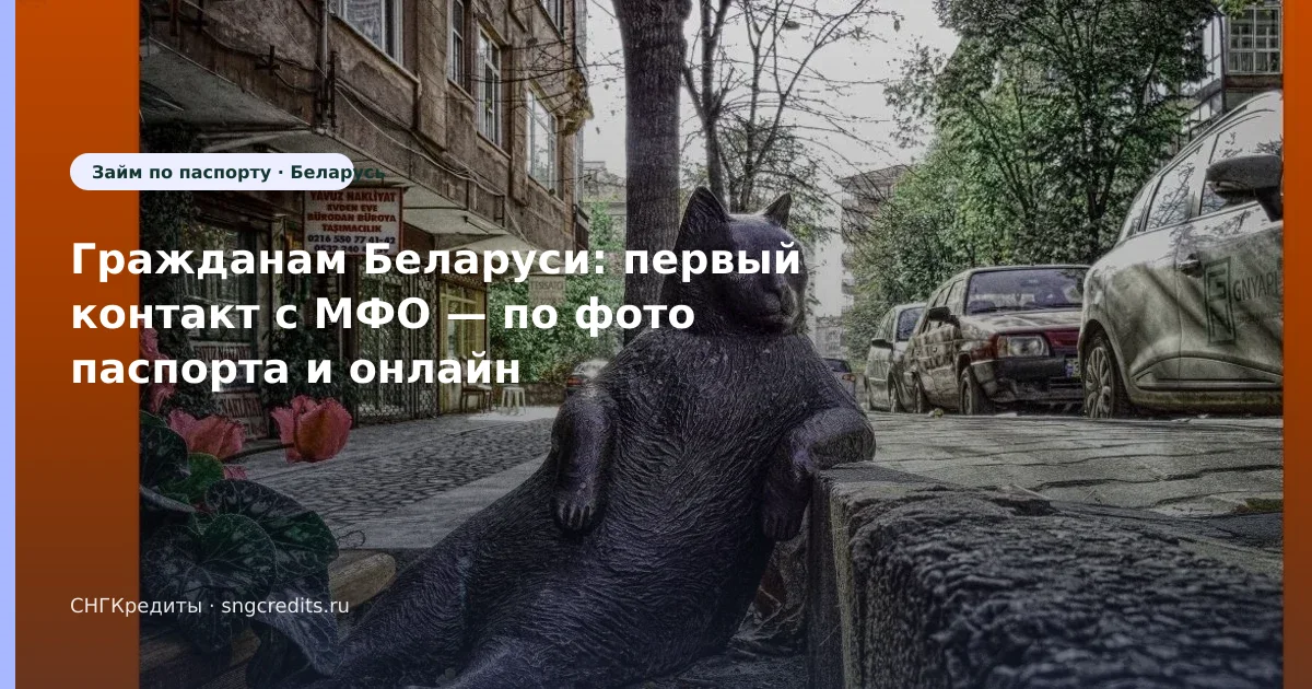 Беларусь: микрозайм онлайн по фото паспорта — что проверить до анкеты