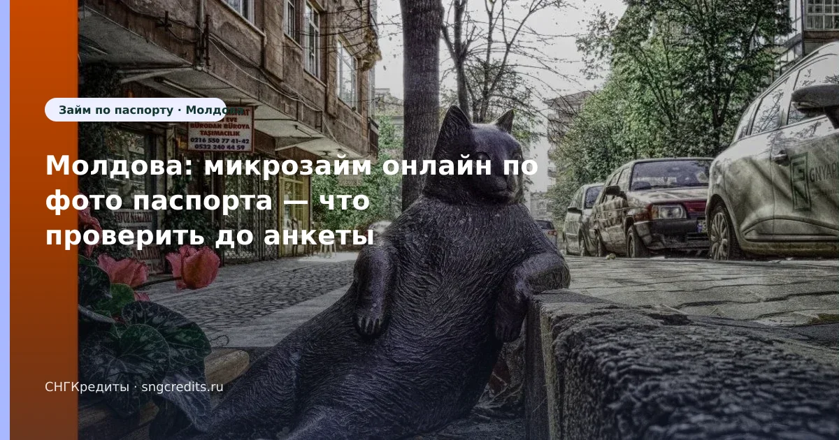 Как молдавским гражданам получить займ по фото паспорта: онлайн, карта РФ и сроки