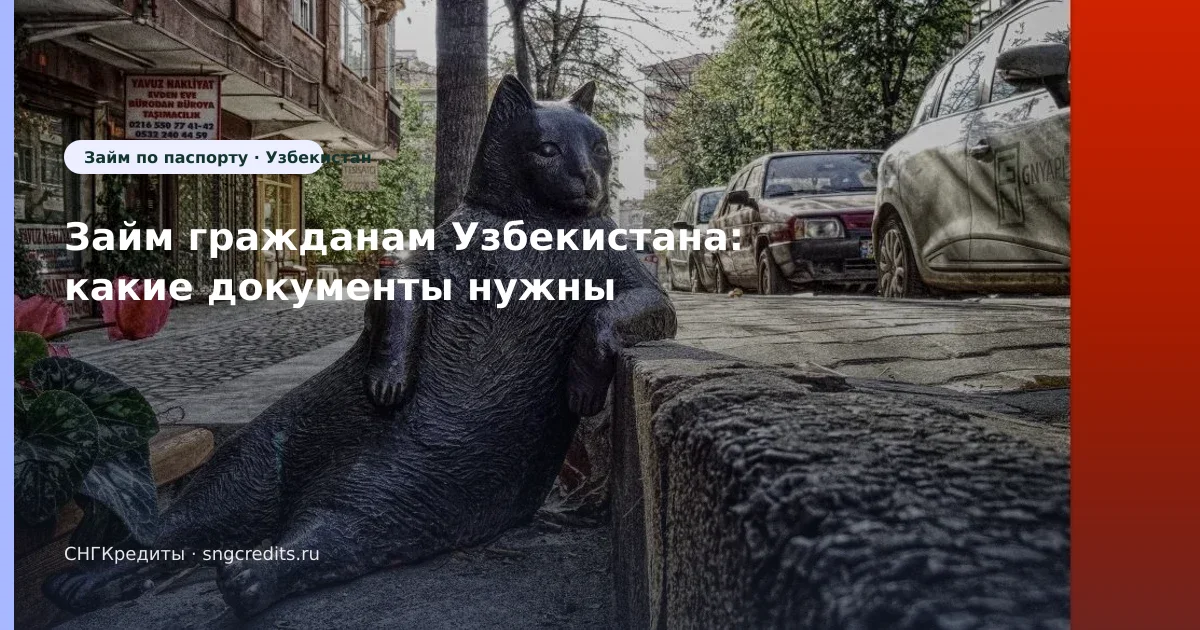 Займ гражданам Узбекистана: какие документы нужны
