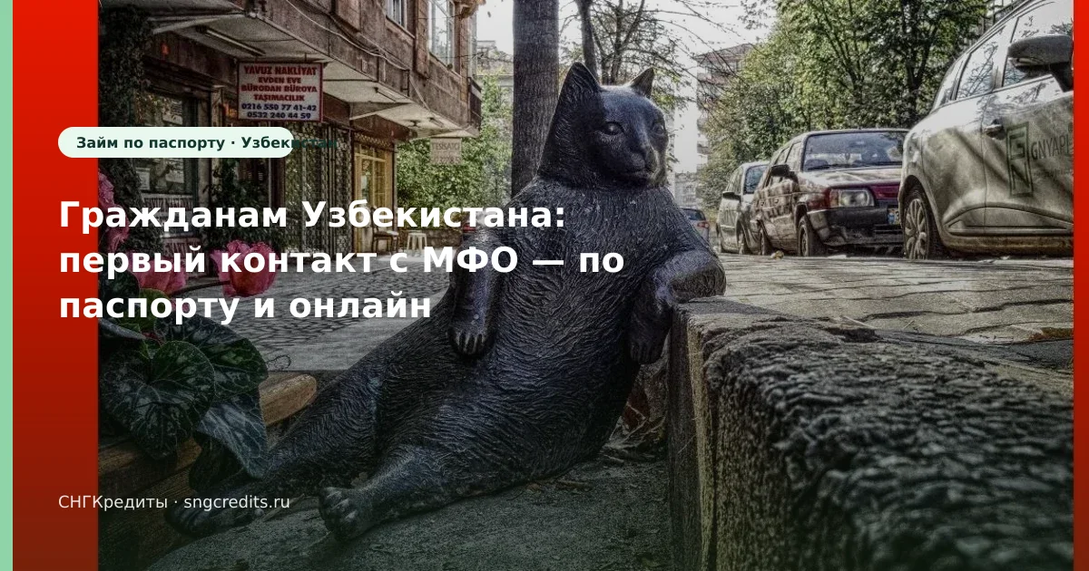 Ошибки для узбекским гражданам: по паспорту, онлайн, зачисление на карту