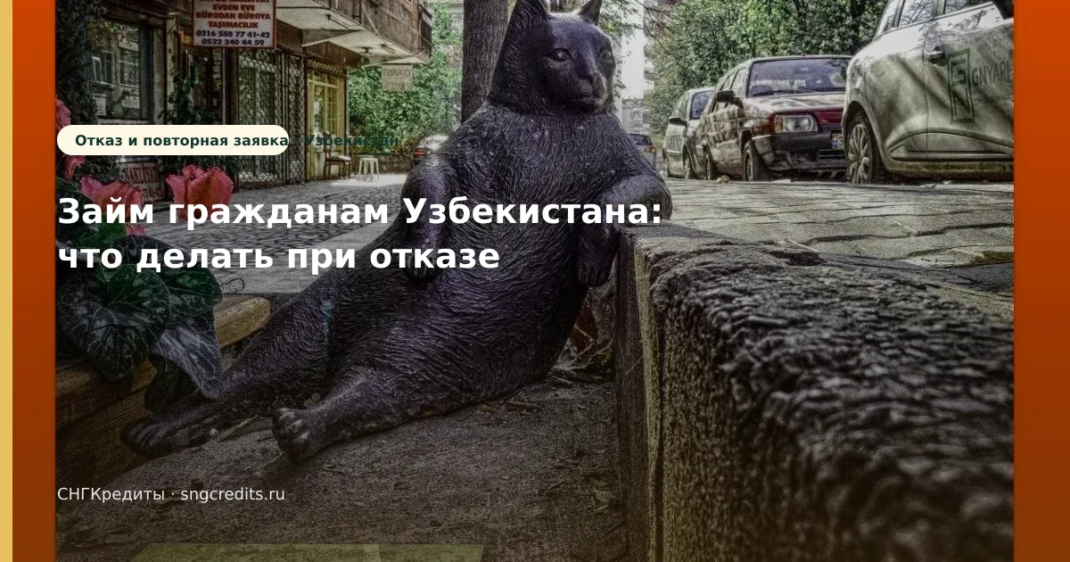 Займ гражданам Узбекистана: что делать при отказе